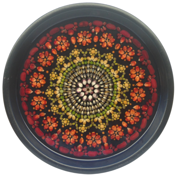 Seed Blossoms Review